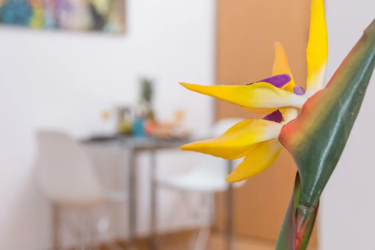 Apartamento Magnifico estudio en bolsa 6. ac. Málaga 0*,  España